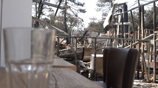 Le restaurant "Le Calyptus", au Porge (Gironde), n'a plus rien d'une halte bucolique au milieu des pins.