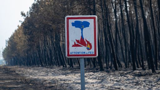 
La lutte contre le megafeu de Saumos (Gironde), qui ravage la foret du bassin d'Arcachon, se poursuit.