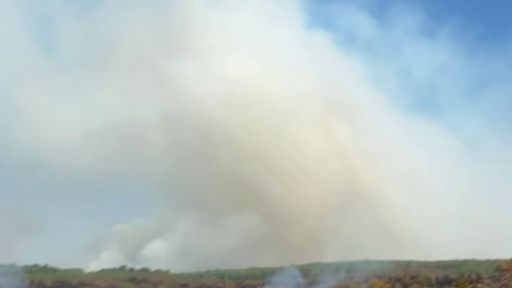 Plusieurs reprises de feu en Gironde, mardi 28 juillet